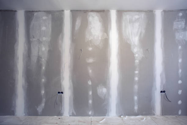 Best Wallpaper Removal and Painting  in Sigourney, IA